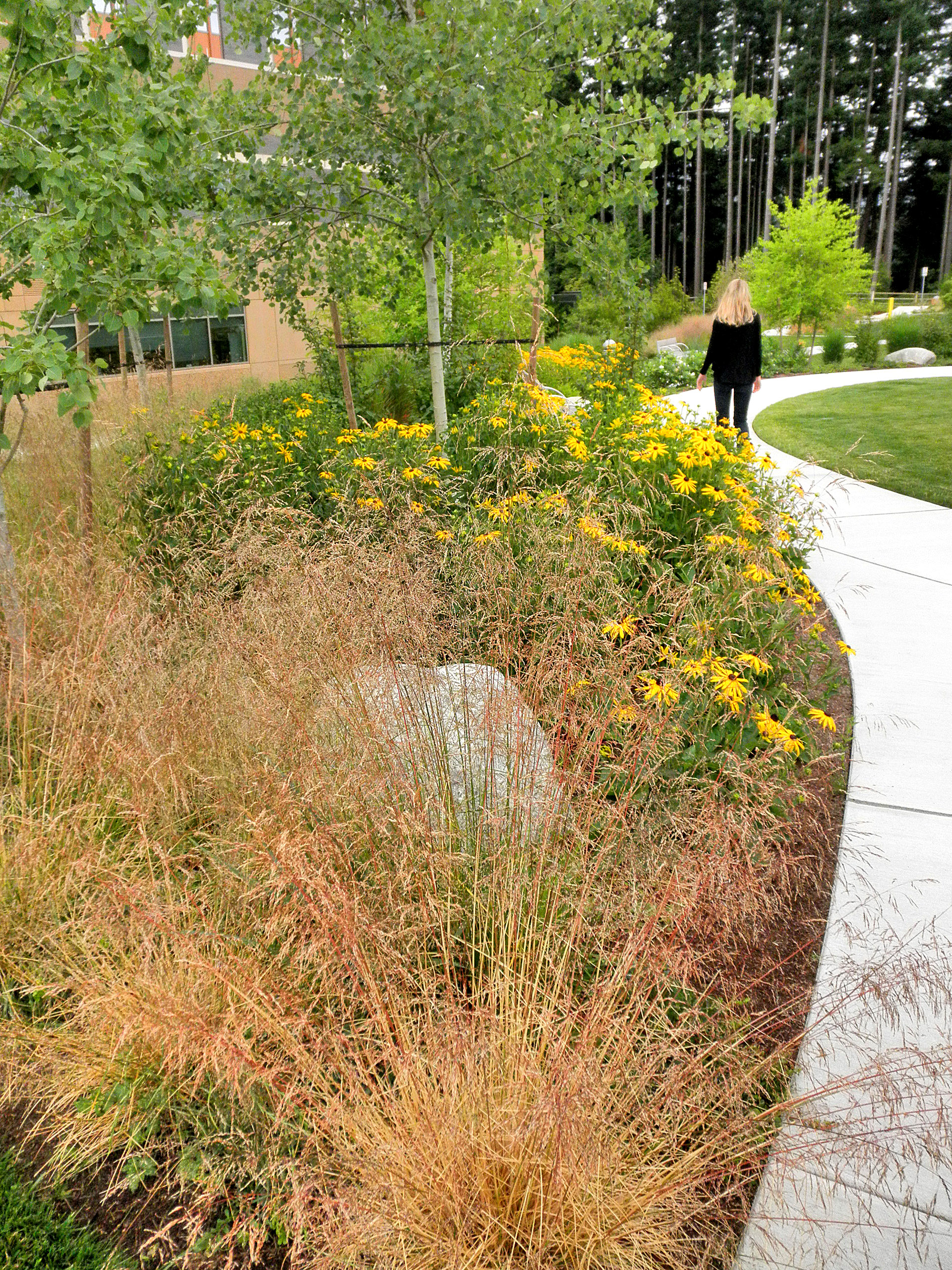 Swedish Issaquah Campus | image 4