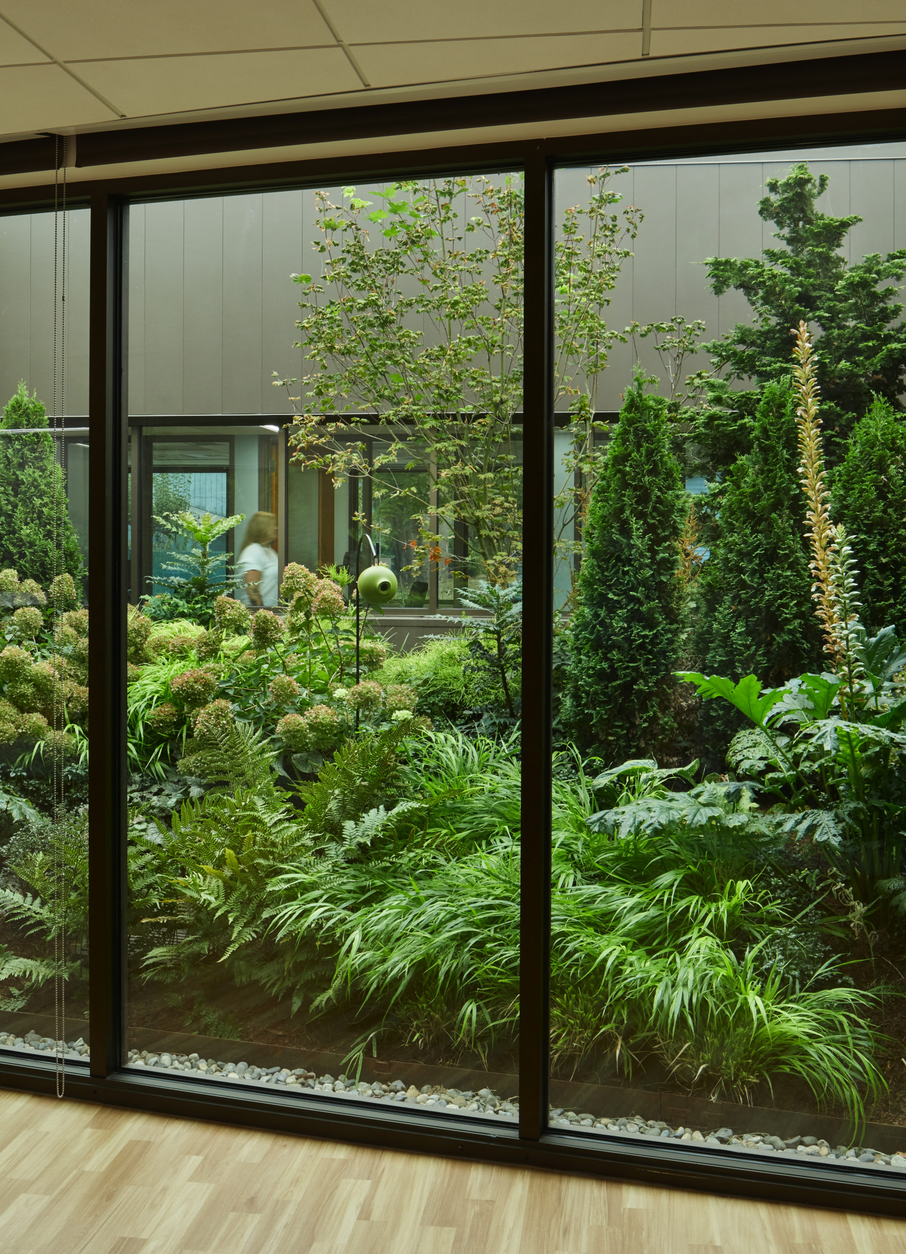 Northwest Kidney Centers – Rainier Beach | image 2