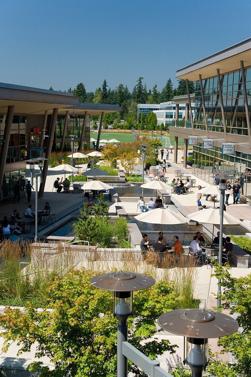 Campus Commons | image 1