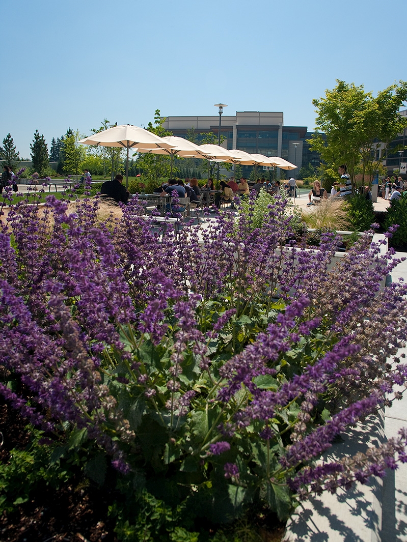 Campus Commons | image 6