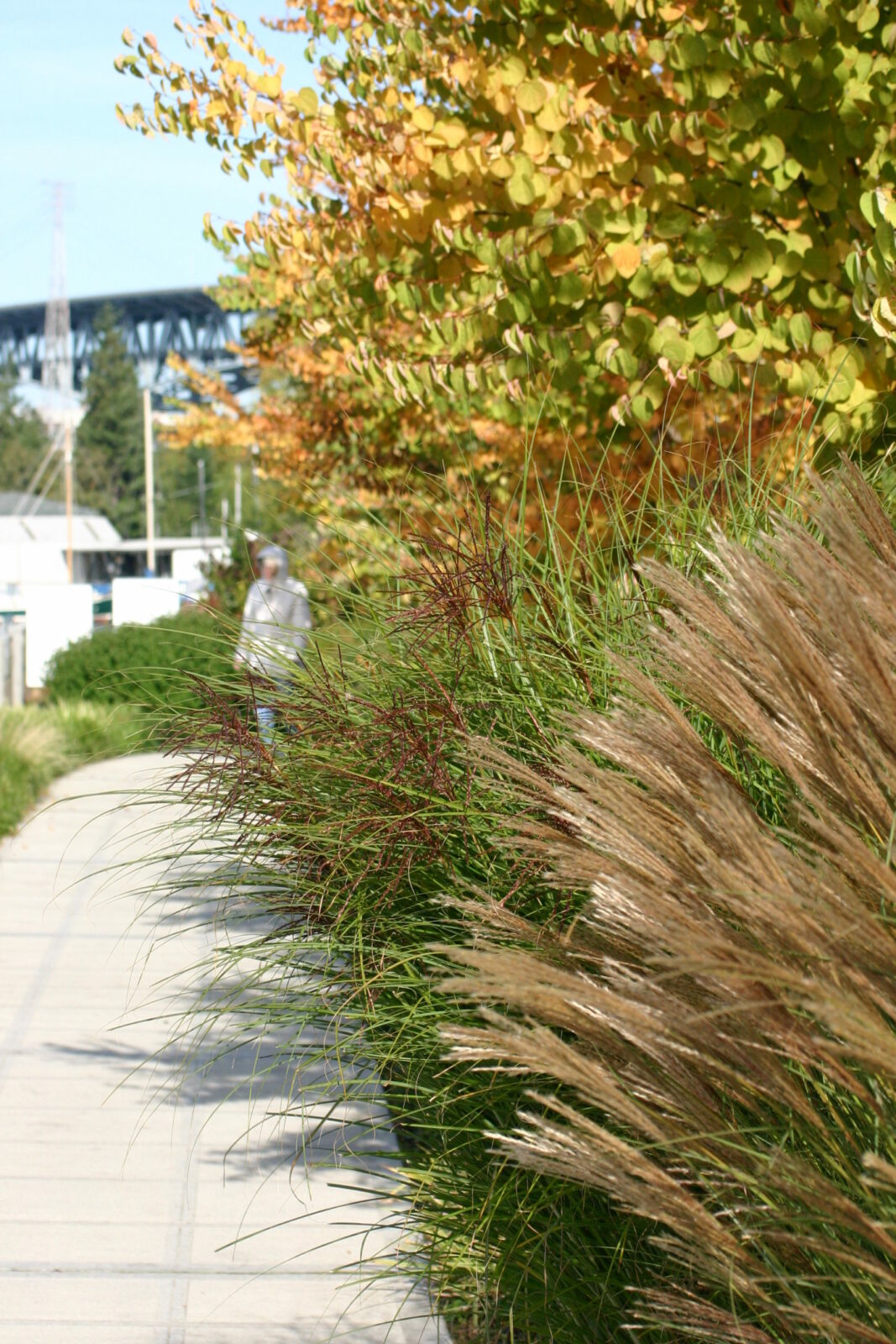 Wards Cove | image 4