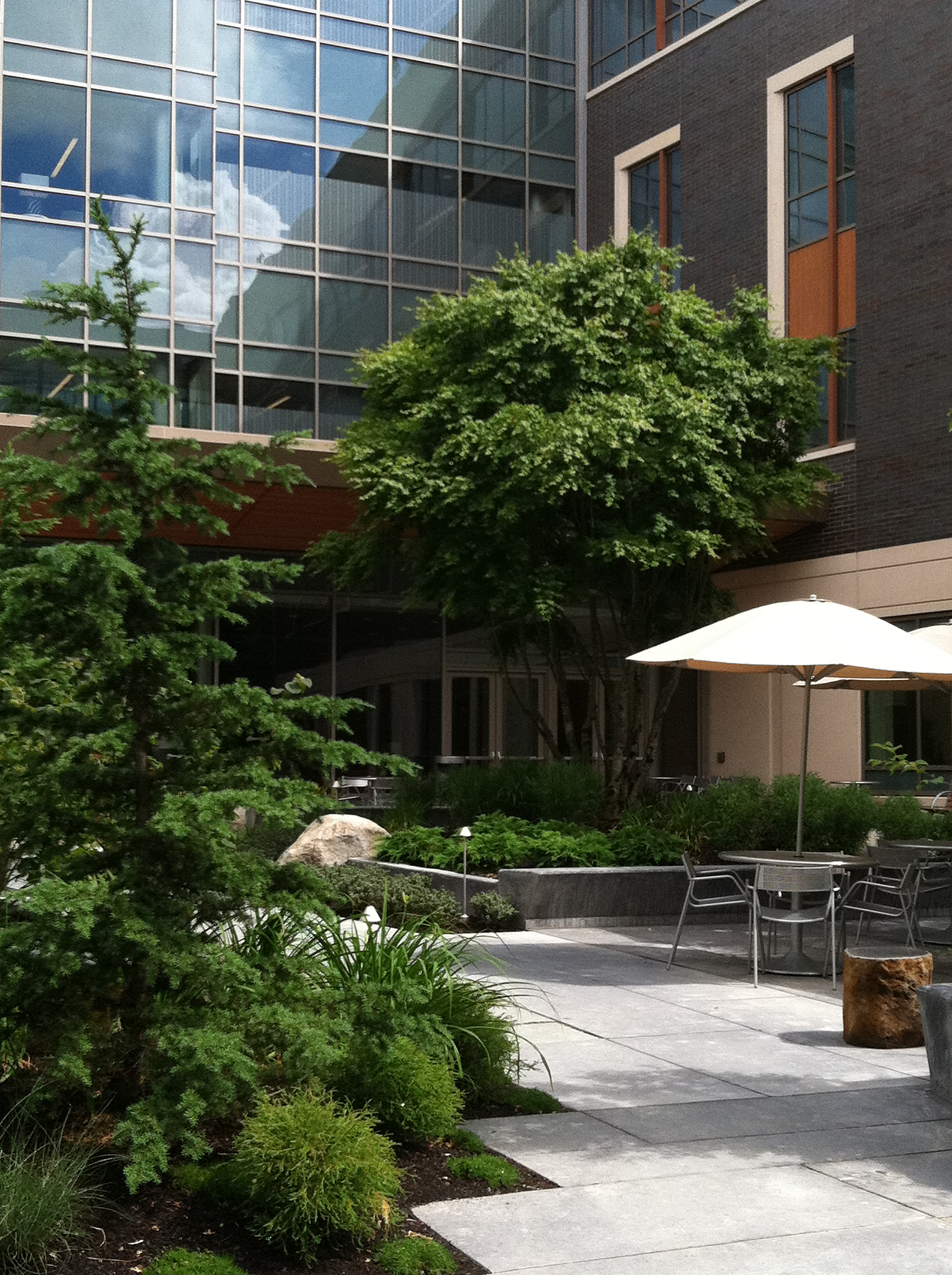 Swedish Issaquah Campus | image 5