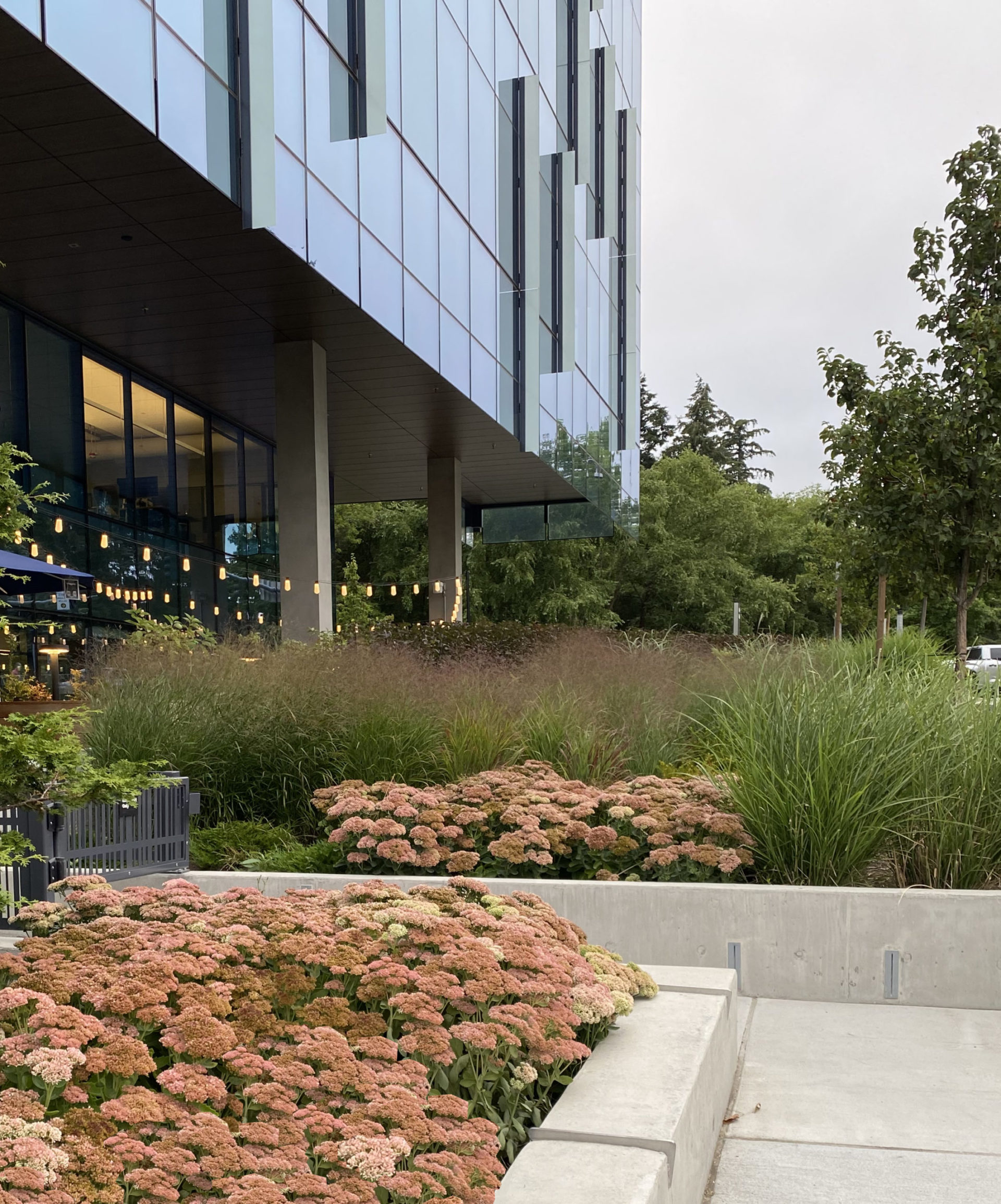 One Esterra Park Brumbaugh Associates Landscape Architecture