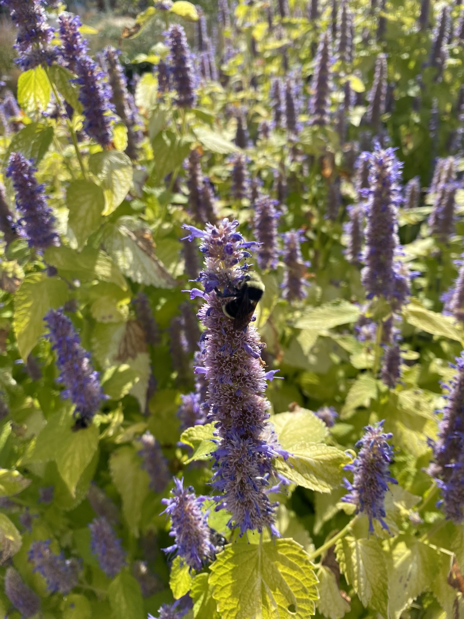 Esterra Park | image 12