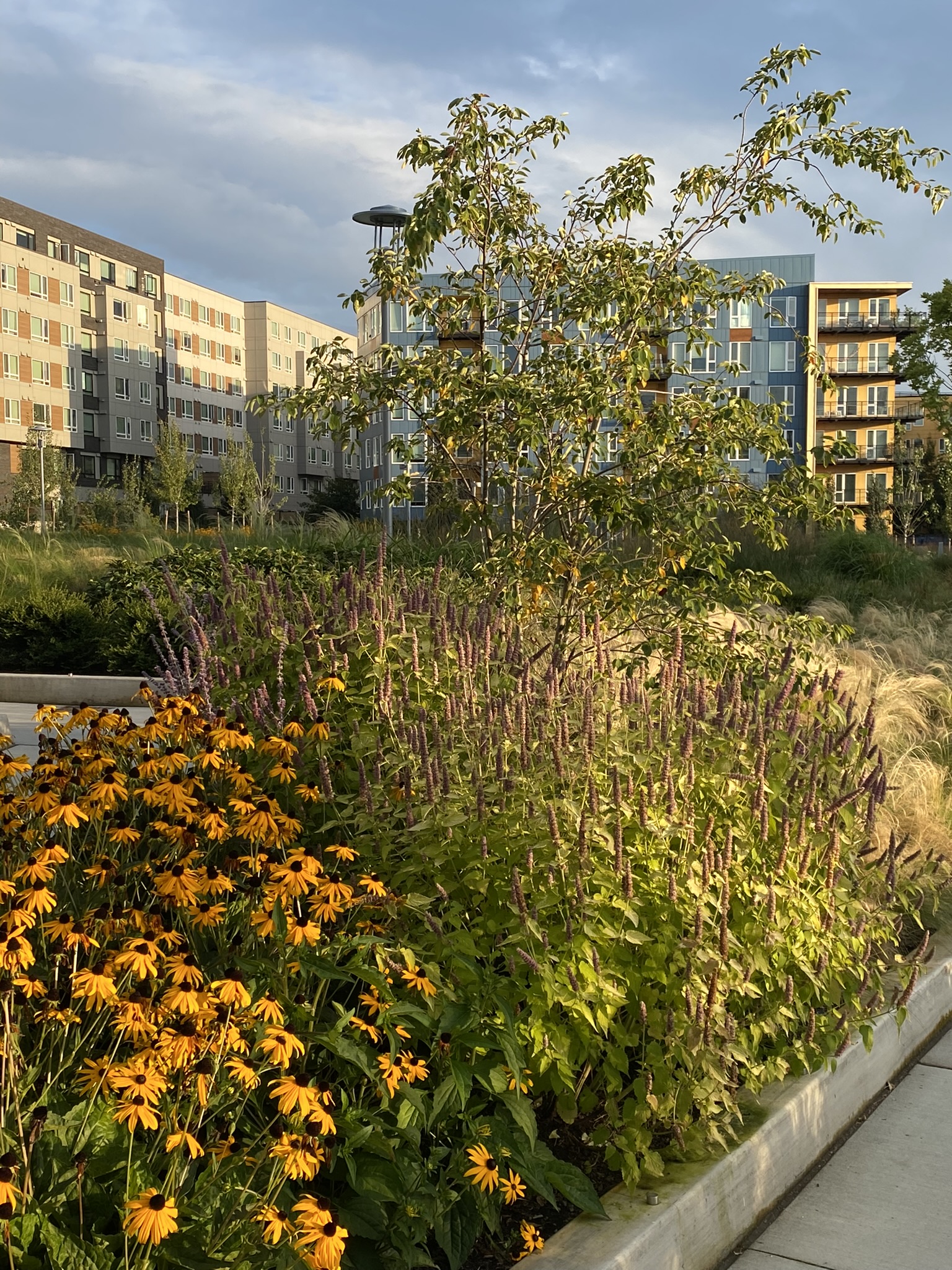 Esterra Park | image 11