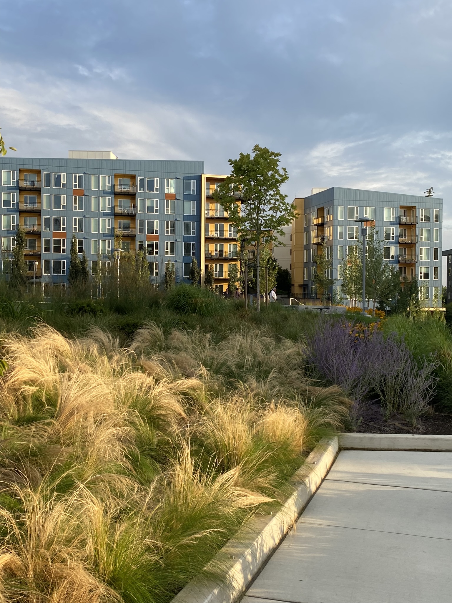 Esterra Park | image 10