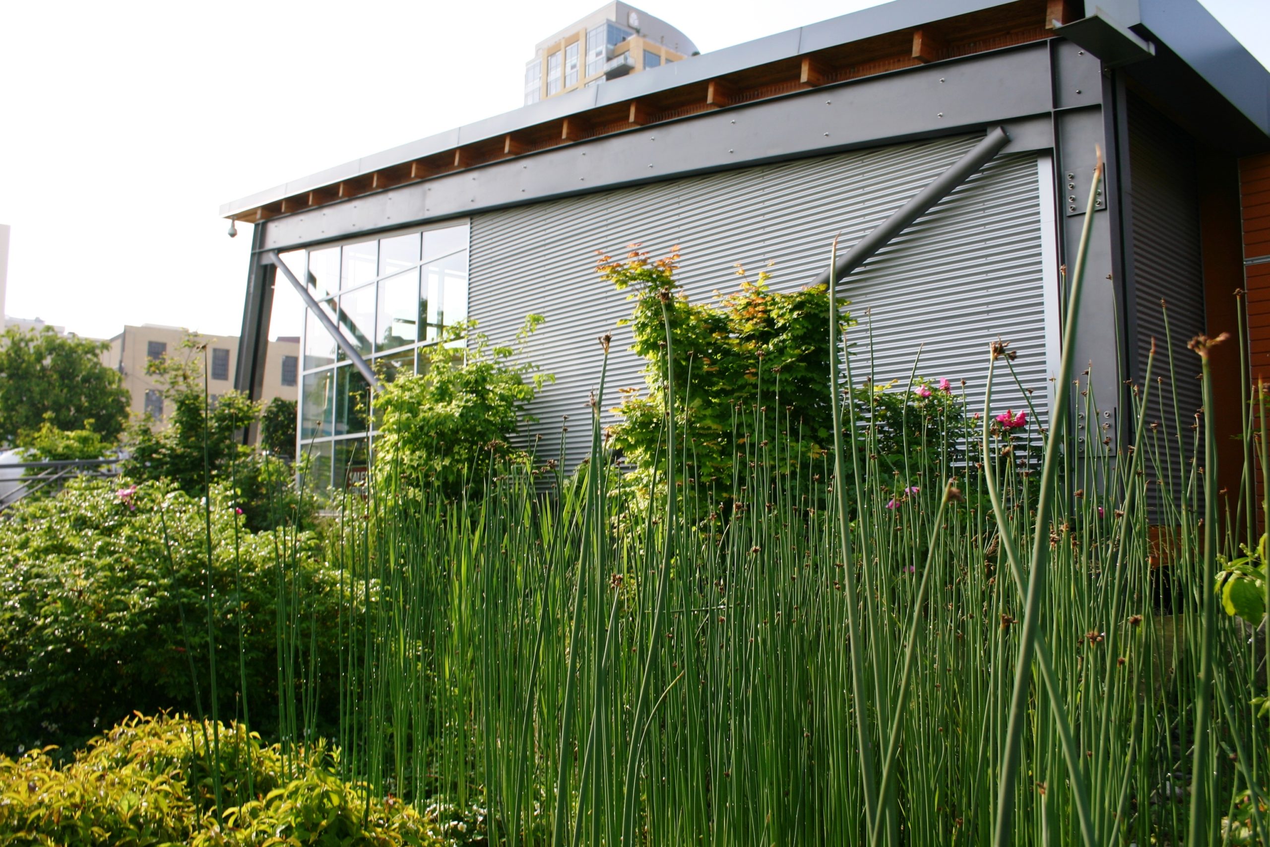 SLU Discovery Center | image 2