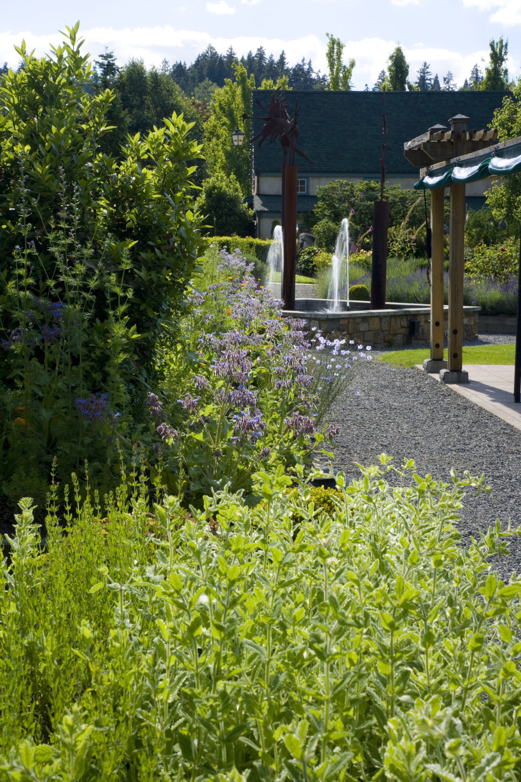 Willows Lodge | image 3