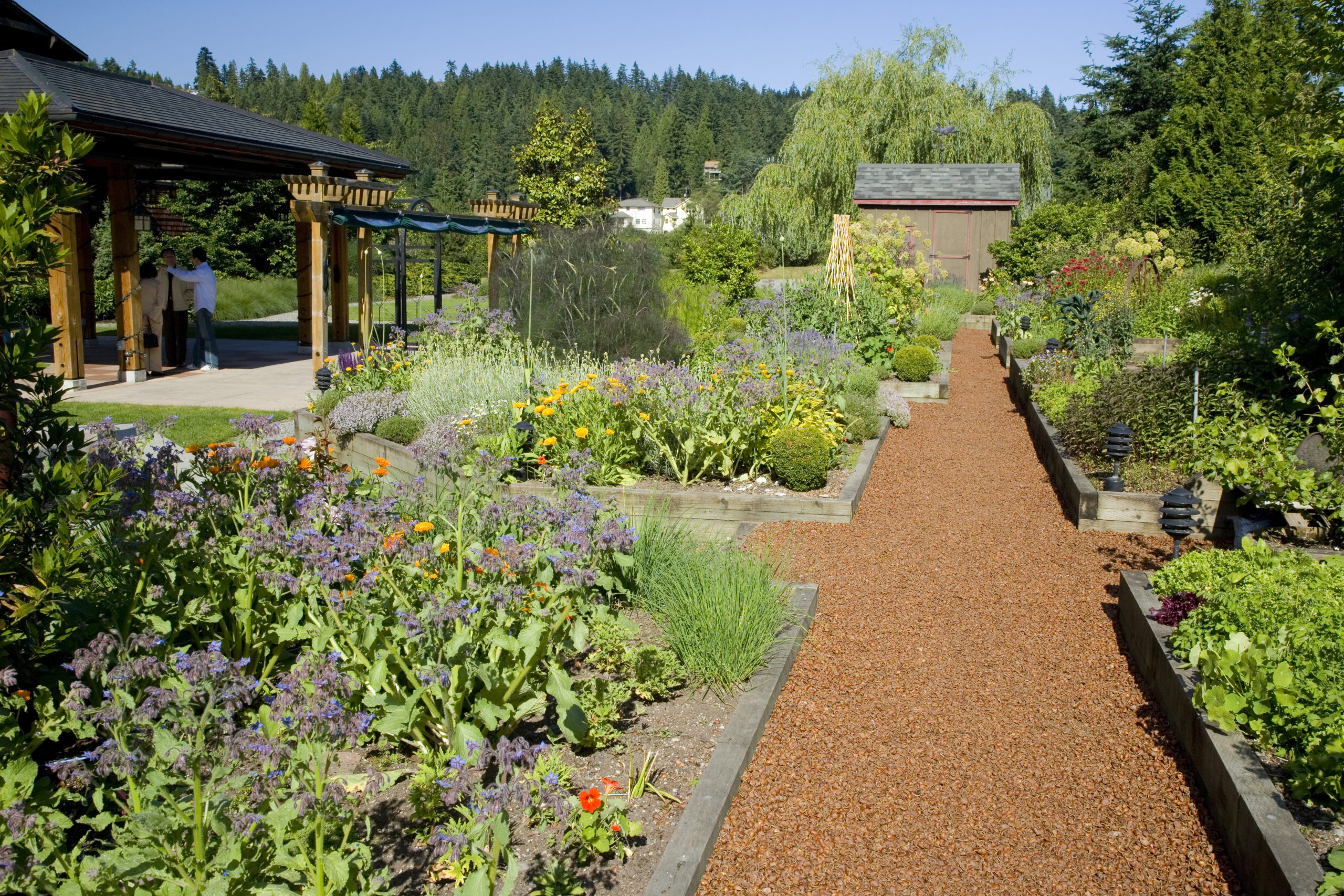 Willows Lodge | image 5