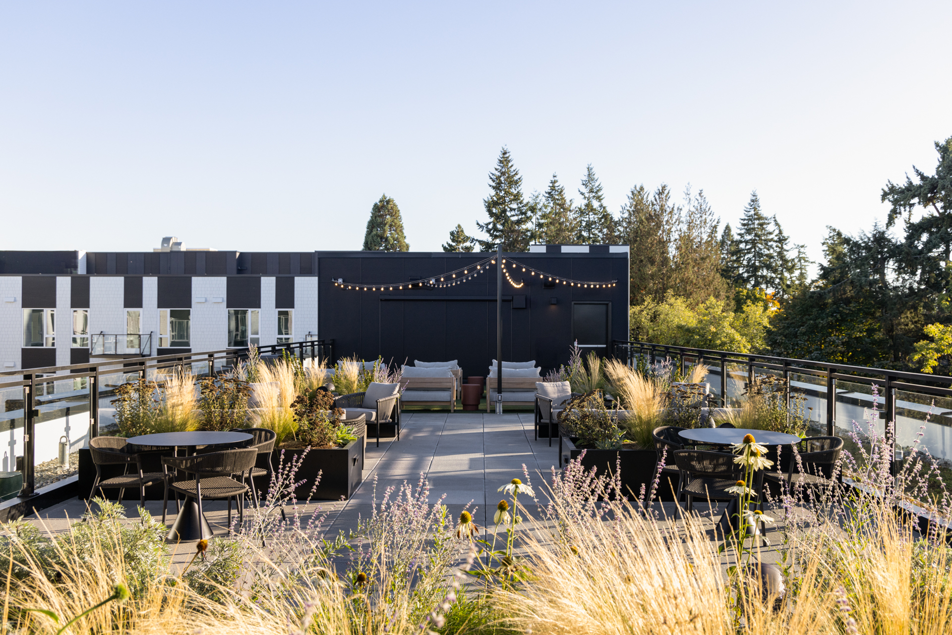 Canopy Apartments | image 3